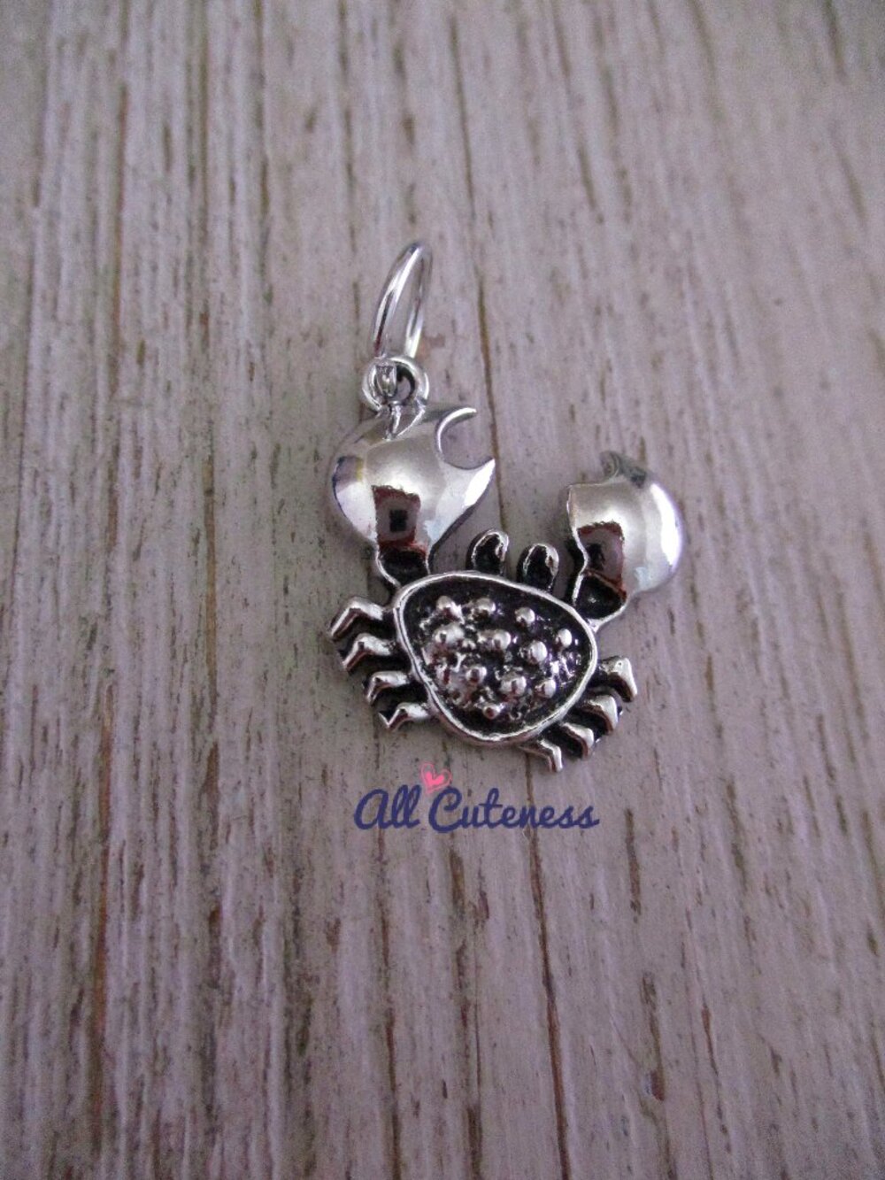 🎀 Crab Charm (Cancer zodiac sign symbol)